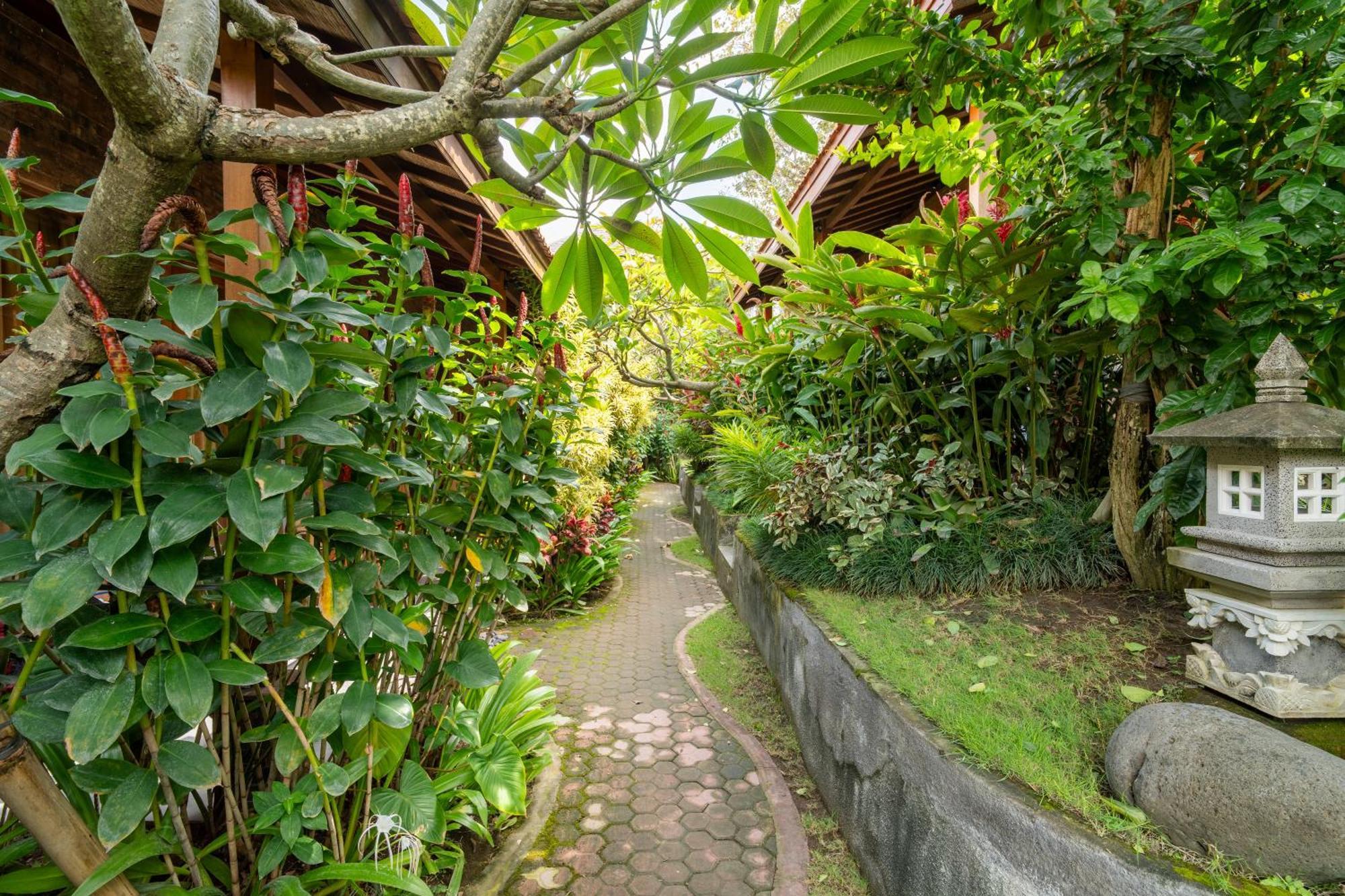 Jinar Guest House Canggu Exteriör bild